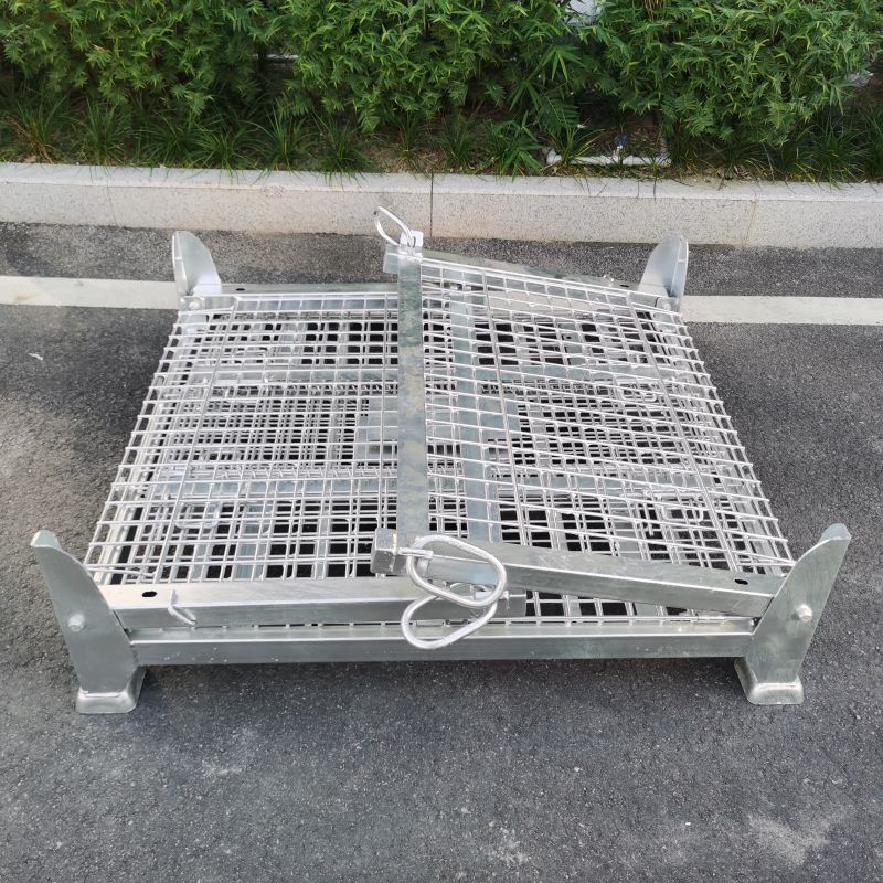 800x800-34 800x800-34